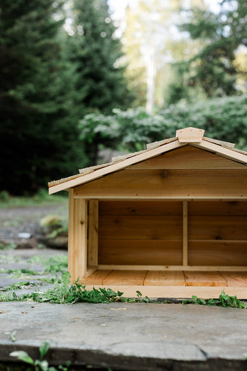 How to Choose the Right Cat House: Outdoor, Indoor & Everything In Between