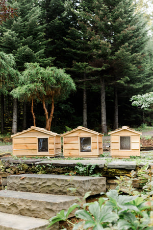 Outdoor Cat Houses