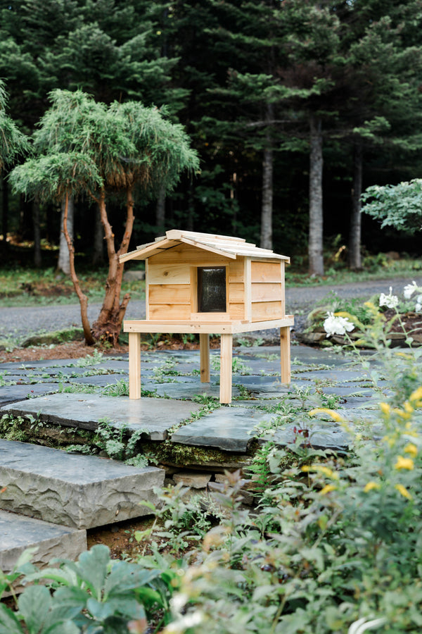 Large Outdoor Cat House with Deck & Extended Roof