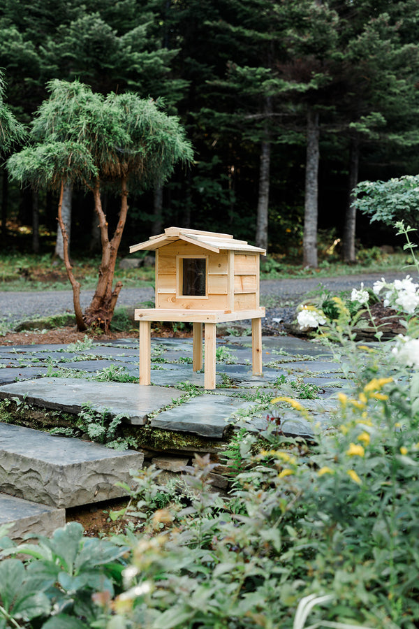 Small Outdoor Cat House with Deck & Extended Roof