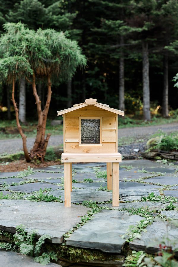 Small Outdoor Cat House with Deck & Extended Roof