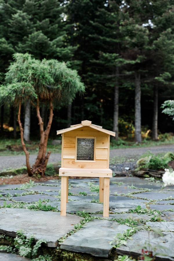 Small Outdoor Cat House with Deck & Extended Roof