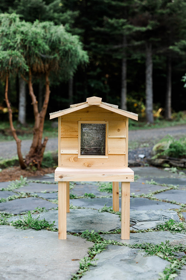 Small Outdoor Cat House with Deck & Extended Roof