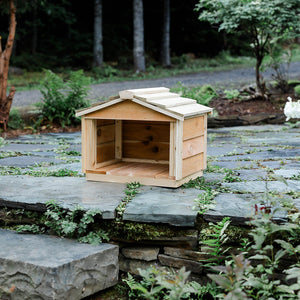 Outdoor Cat Feeding Station - Feral Cat Food Shelter
