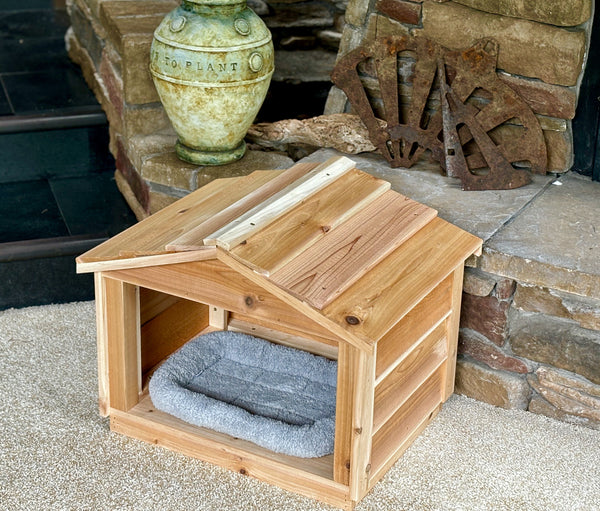 Indoor cat house