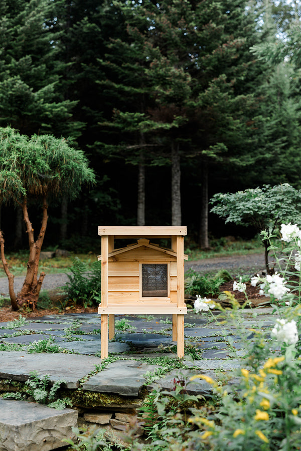 Elevated outdoor cat house with loft - Feral cat shelter