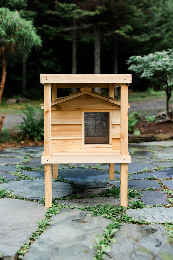 Elevated outdoor cat house with loft - Feral cat shelter