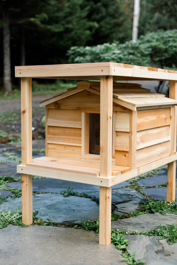 Elevated outdoor cat house with loft - Feral cat shelter