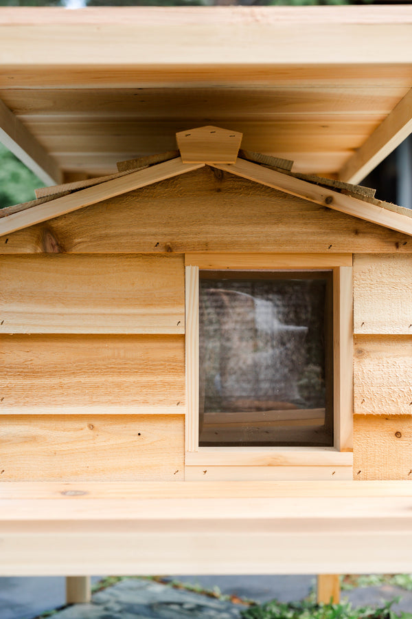 Elevated outdoor cat house with loft - Feral cat shelter