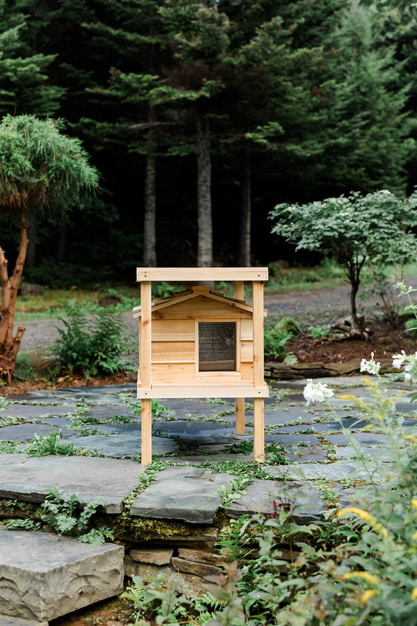 Elevated outdoor cat house with loft - Feral cat shelter