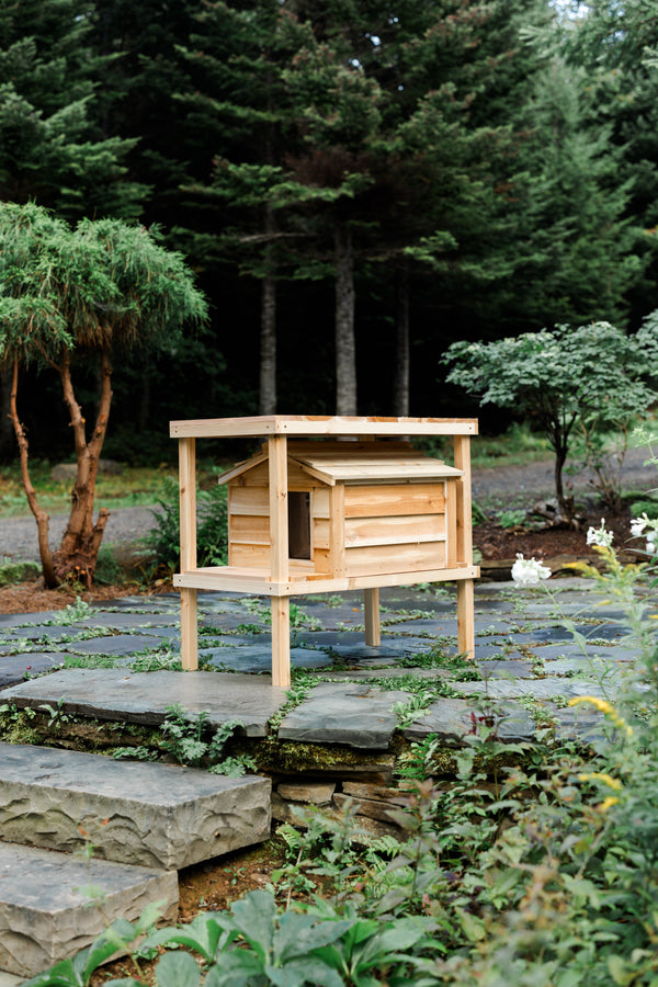 Elevated outdoor cat house with loft - Feral cat shelter