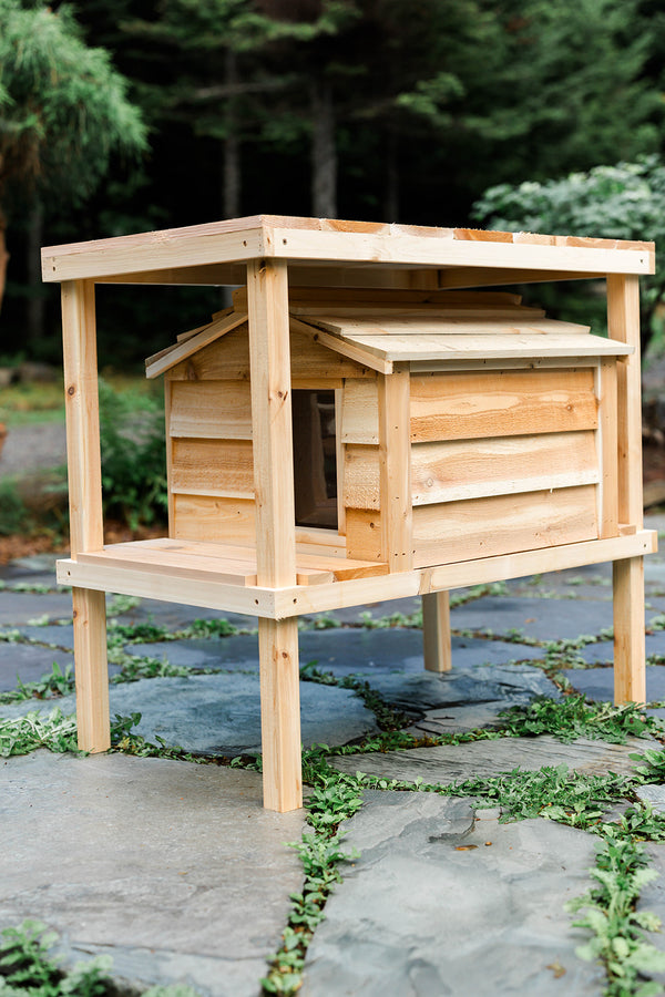 Elevated outdoor cat house with loft - Feral cat shelter