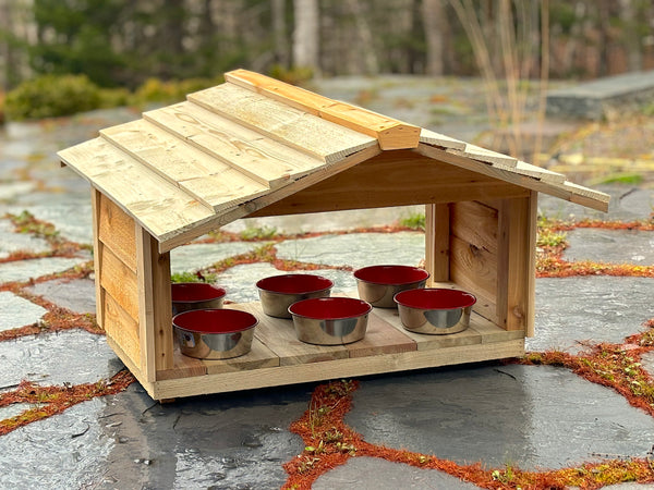 Outdoor cat feeding station - Feral cat food shelter