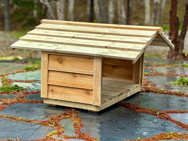 Outdoor cat feeding station - Feral cat food shelter