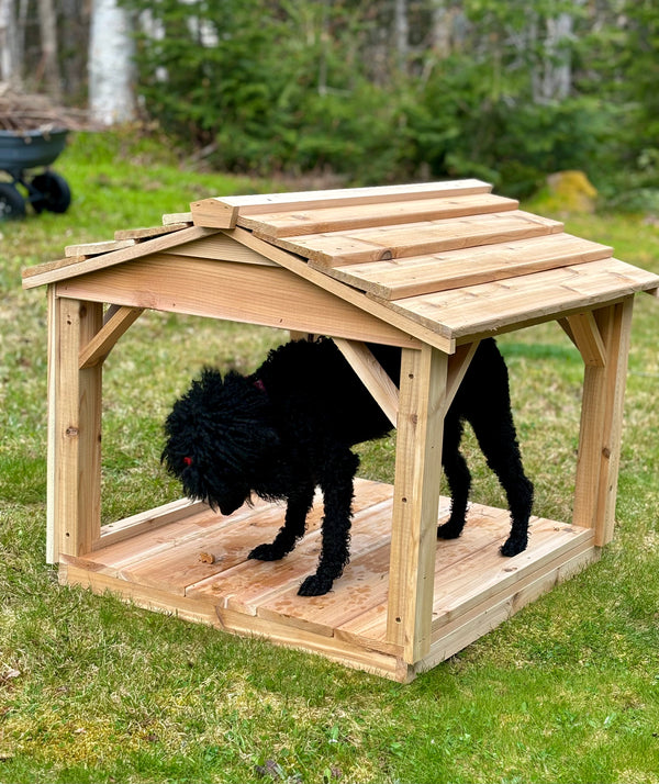 Dog shelter, cat shelter, food shelter, cat house,