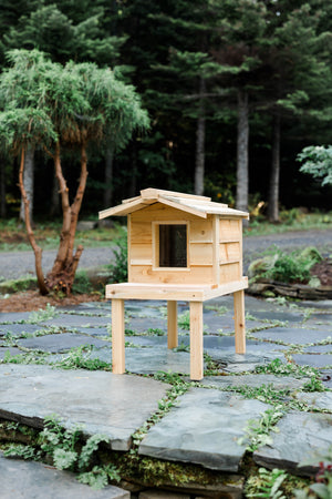 Secrets To Enhancing Your Outdoor Cat House (That Your Cat Will Love)