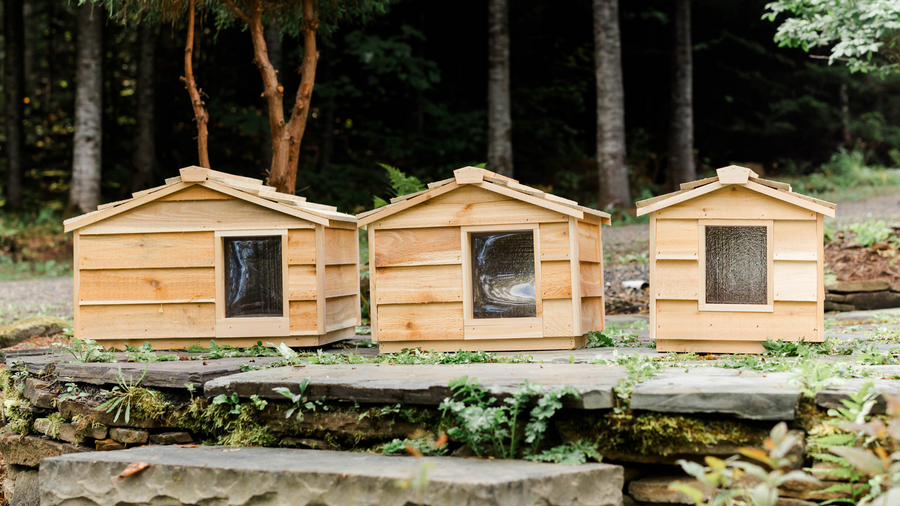 The Ultimate Guide to Pet Houses (Everything You Need to Know