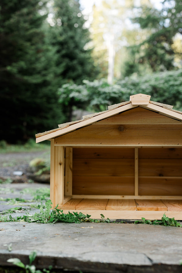 Outdoor Feeding Station with Extended Roof