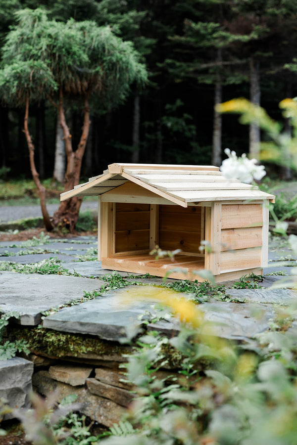 Outdoor Feeding Station with Extended Roof