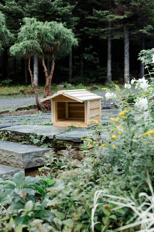 Outdoor Feeding Station with Extended Roof