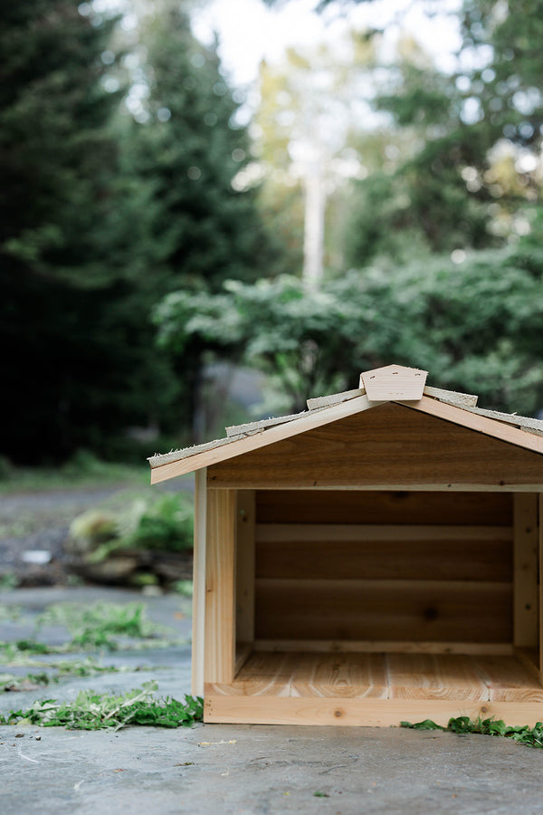 Outdoor Feeding Station with Extended Roof