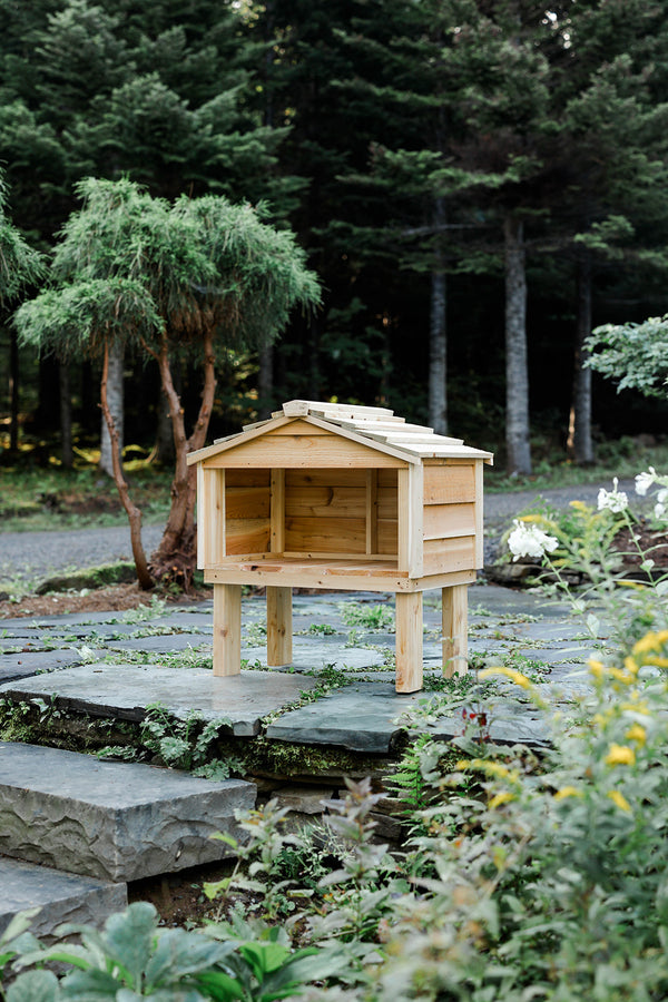 Outdoor Feeding Station with Extended Roof