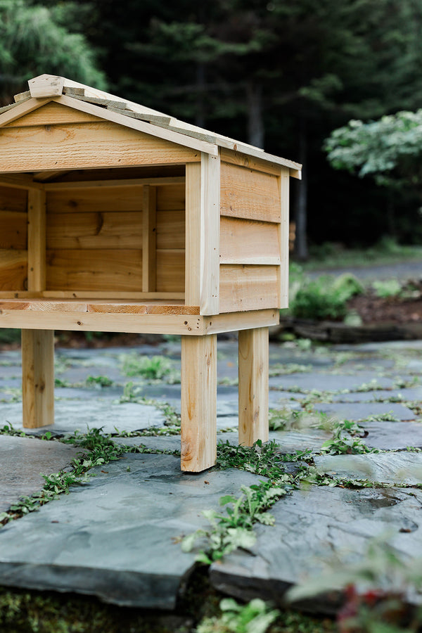 Outdoor Feeding Station with Extended Roof