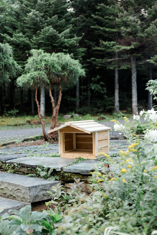 Feral Cat Feeding Station, Outdoor Cat Houses -4