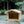 Feral Cat Feeding Station, Outdoor Cat Houses -5 