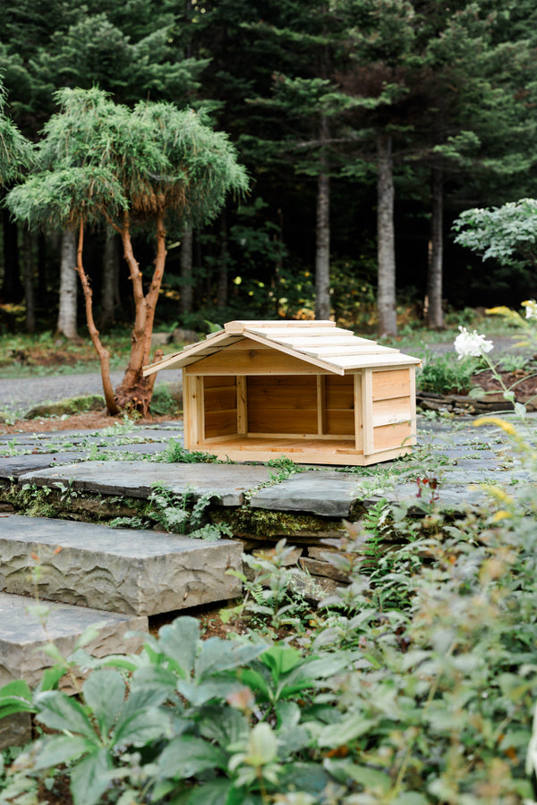 Outdoor cat feeding station - Feral cat food shelter