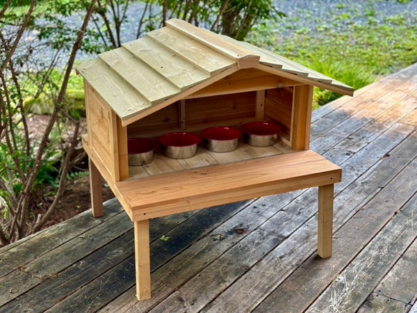 Outdoor cat feeding station - Feral cat food shelter with elevated platform