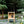 Elevated outdoor cat house with loft - Feral cat shelter