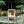 Elevated outdoor cat house with loft - Feral cat shelter
