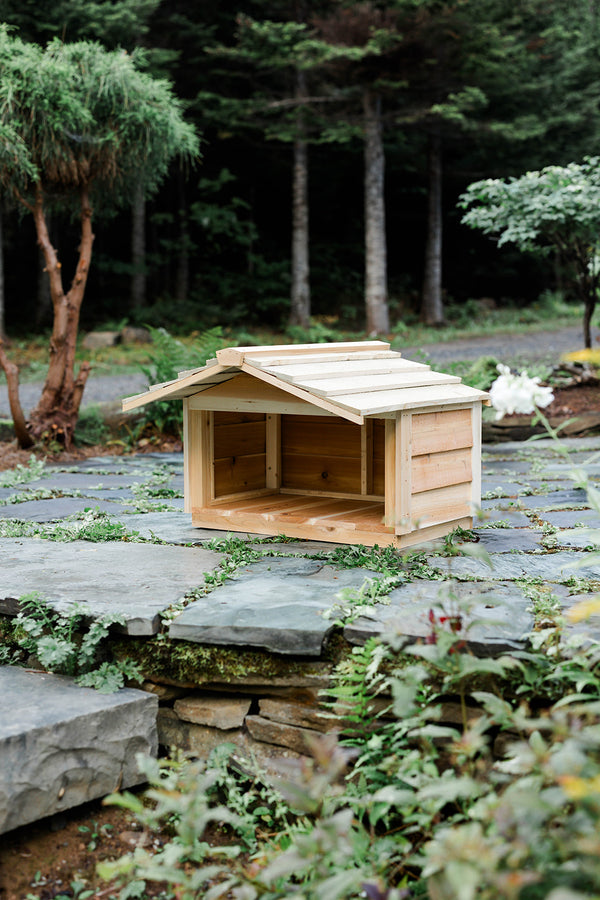 Outdoor cat feeding station - Feral cat food shelter