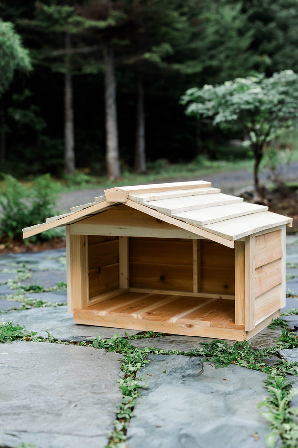 Outdoor cat feeding station - Feral cat food shelter