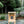 Outdoor Cat House with loft - 2