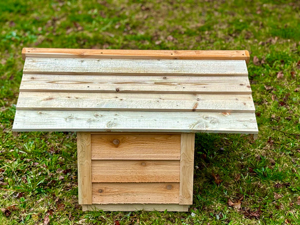 Outdoor cat feeding station, food shelter for feral cats