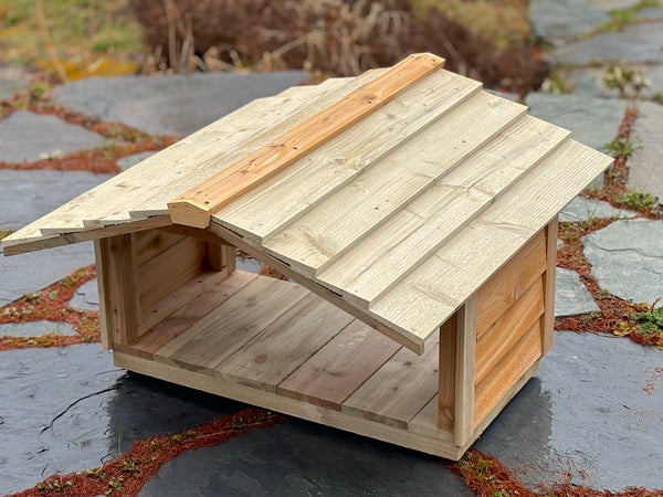 Outdoor cat feeding station, food shelter for feral cats