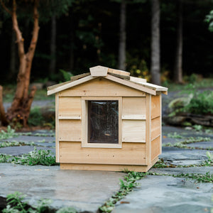 Insulated small outdoor cat house, wooden feral cat shelter