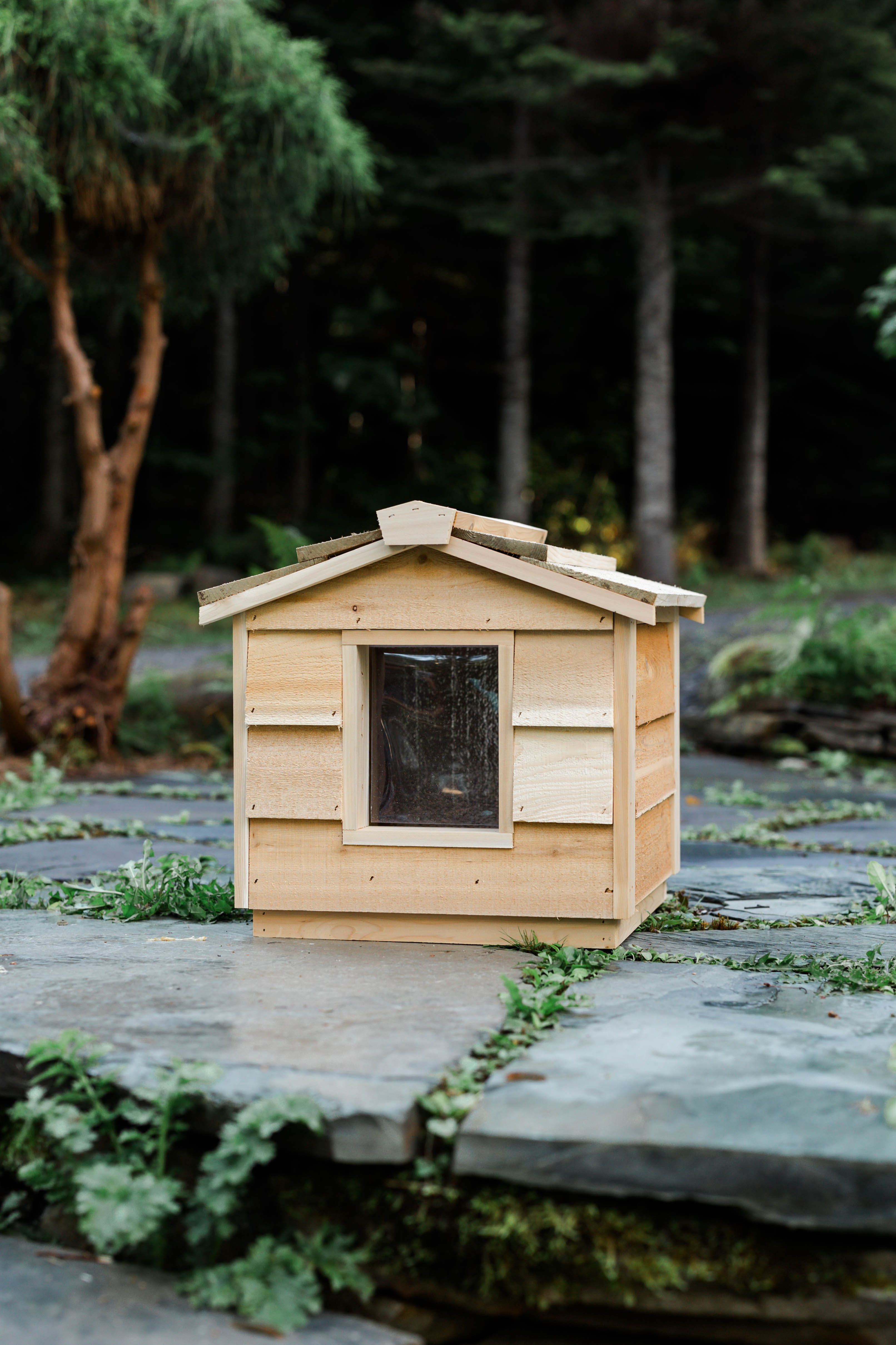 Small Outdoor Cat House – undercoverpethouses