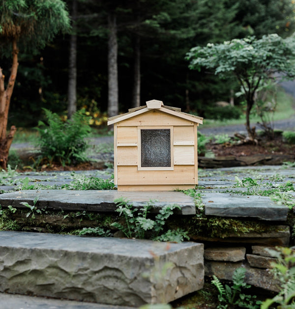 Small insulated outdoor cat house, wooden feral cat shelter