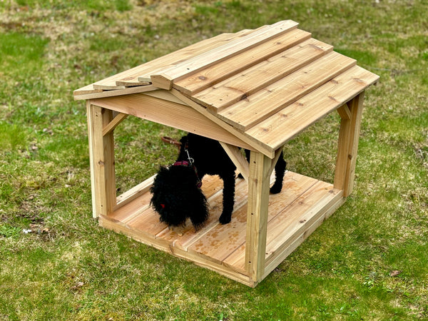 Dogzebo, small dog shelter, cat shelter, food shelter