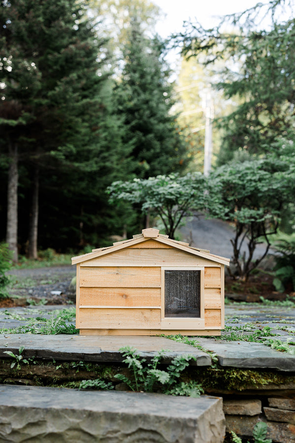 outdoor cat house, wooden feral cat shelter, weatherproof, small dog house